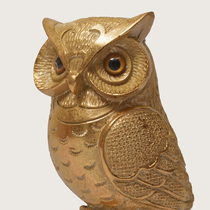 Owl of Wisdom and Knowledge - Medium