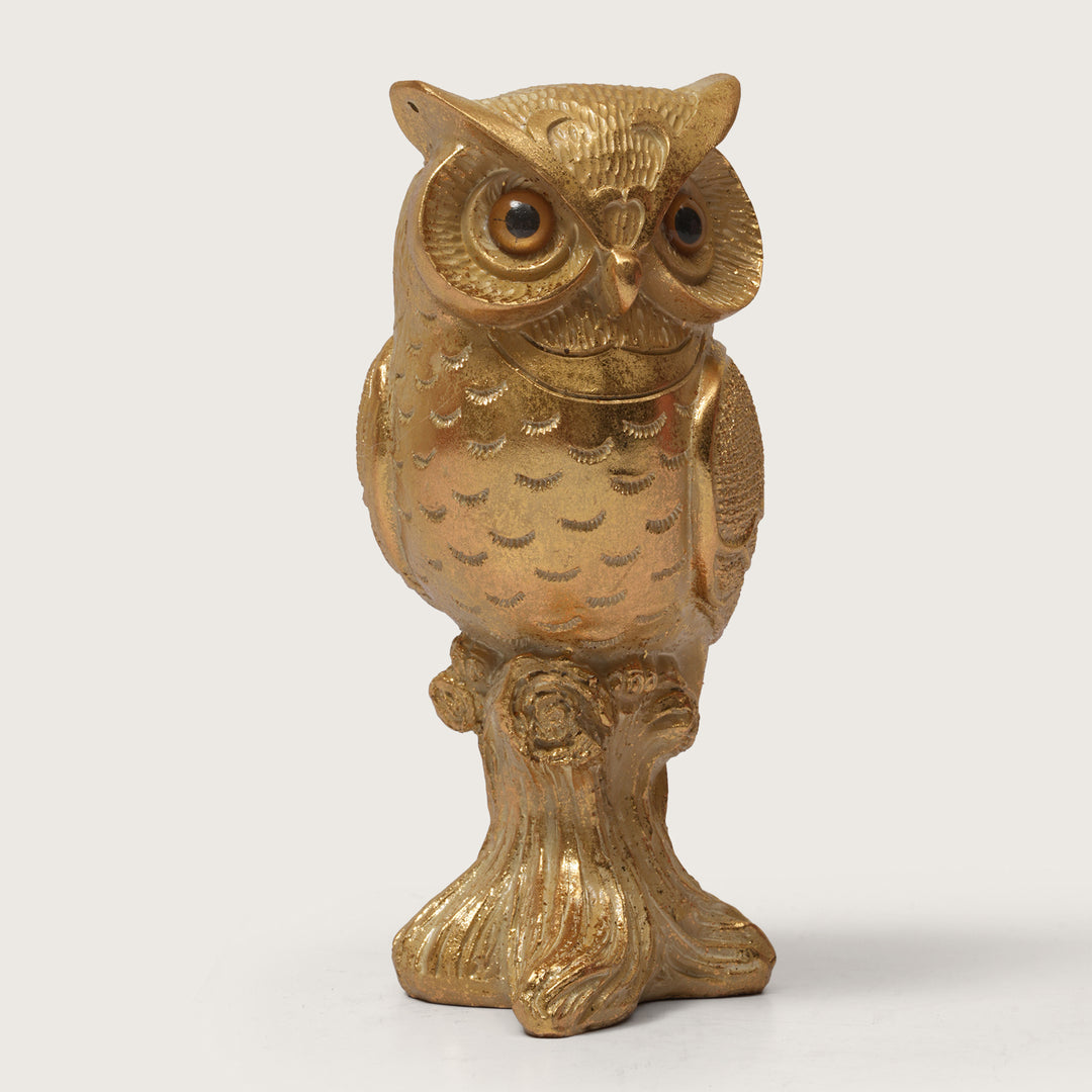 Owl of Wisdom and Knowledge - Medium