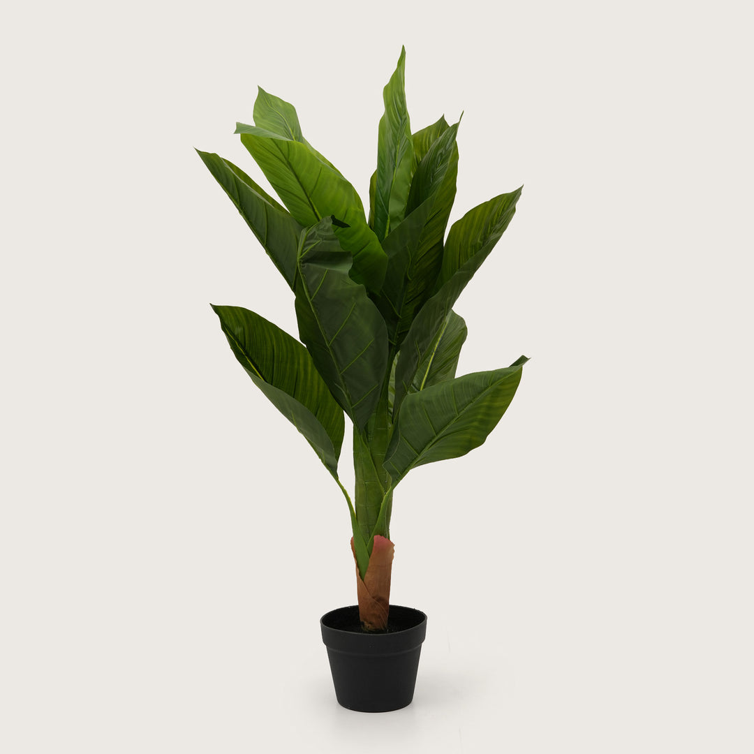 Botanical Accent Plant with Tapered Base