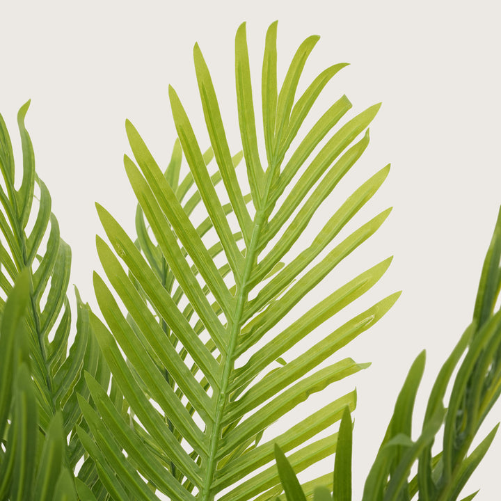 Tropical Plant  in Sleek Contemporary Base