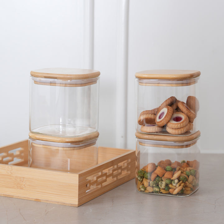 Airtight Webbed Jar Containers | Set of 4