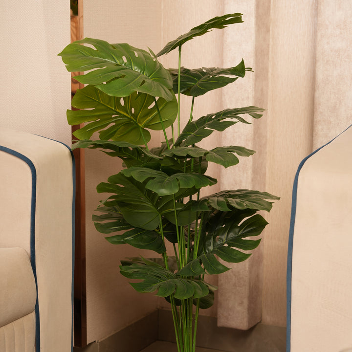 Architectural Floor Plant  with Sturdy Base