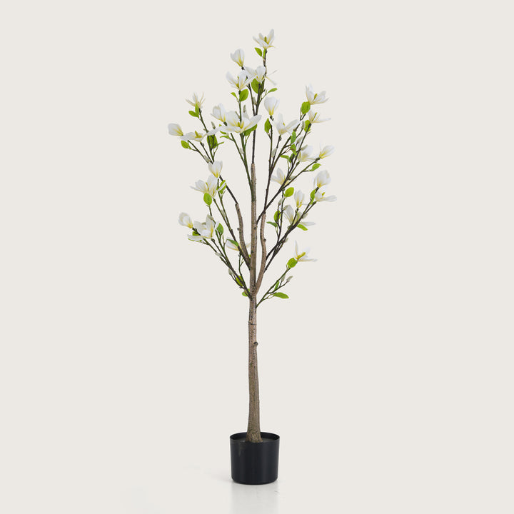 Slimline White Blossom Tree