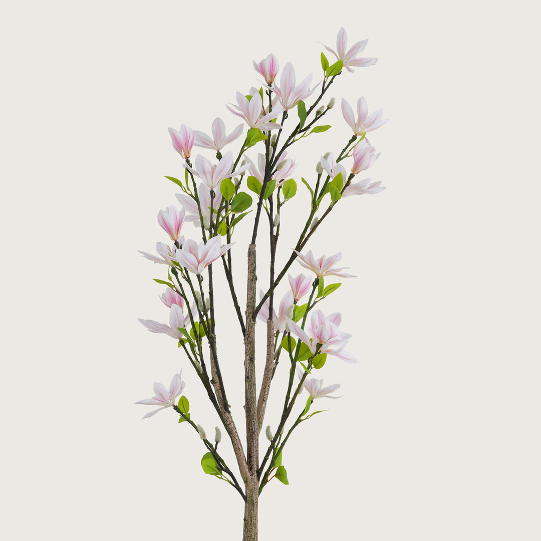 Slimline Blush-Pink Blossom Tree