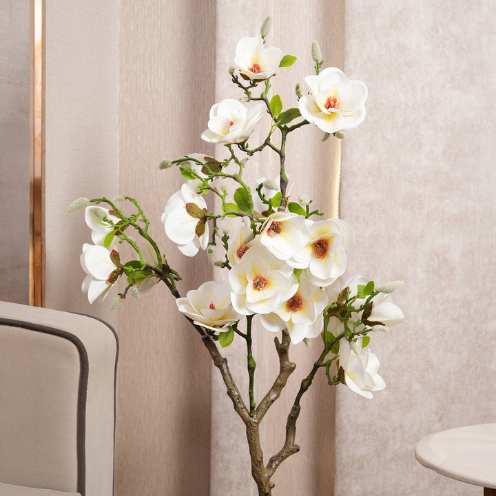 White Magnolia Tree with Blooms