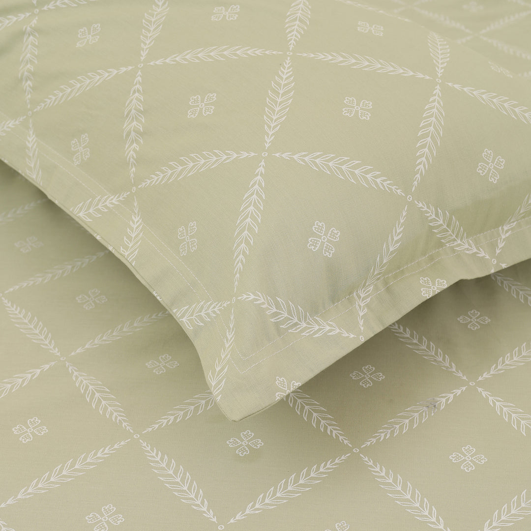 Vogue Double Bedsheet (108x108) with 2mPillow Cover
