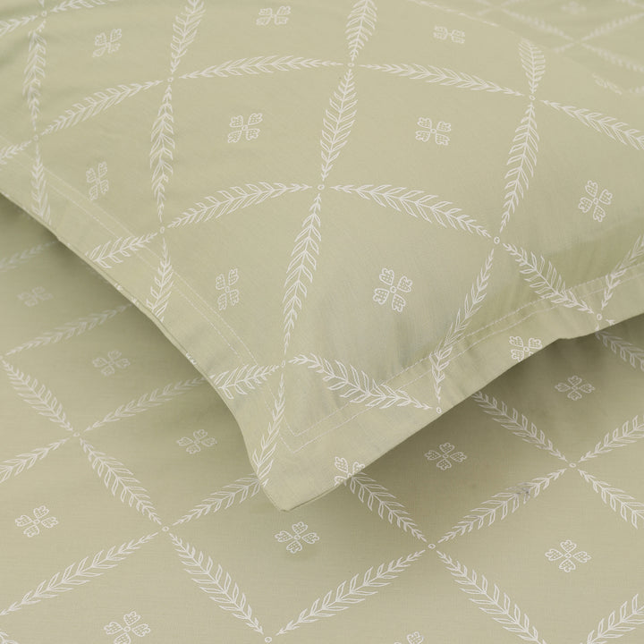 Vogue Double Bedsheet (108x108) with 2mPillow Cover