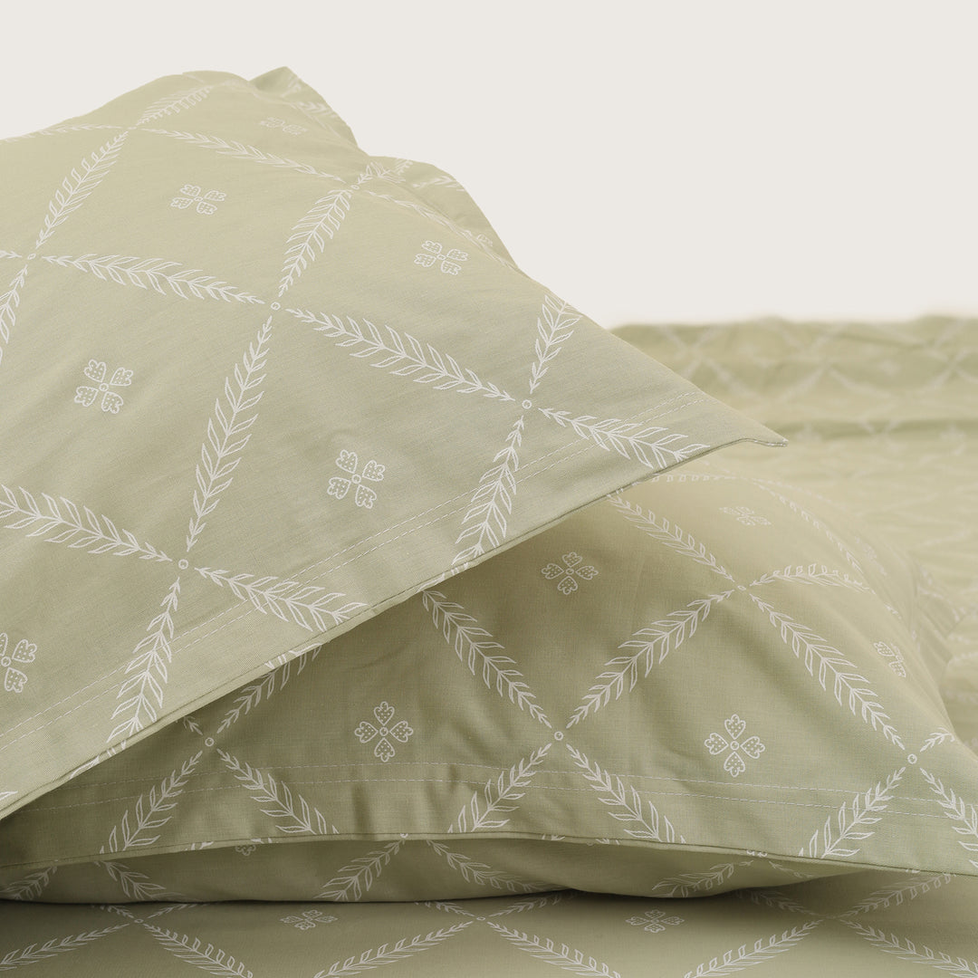 Vogue Double Bedsheet (108x108) with 2mPillow Cover