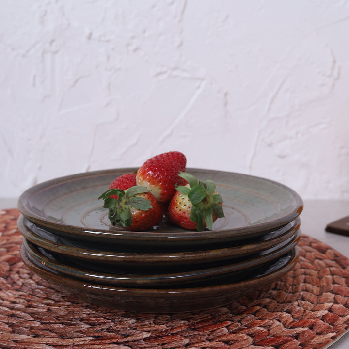 The Earth Quarter Plate: Set of 4